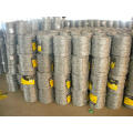 High Quality Hot Dipped Galvanized Barbed Wire